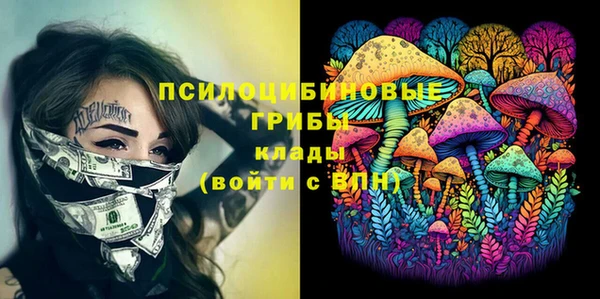 гидра Козельск