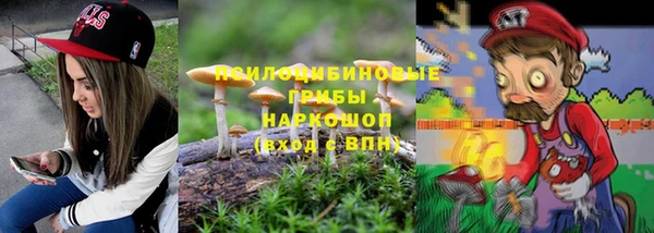 гидра Козельск